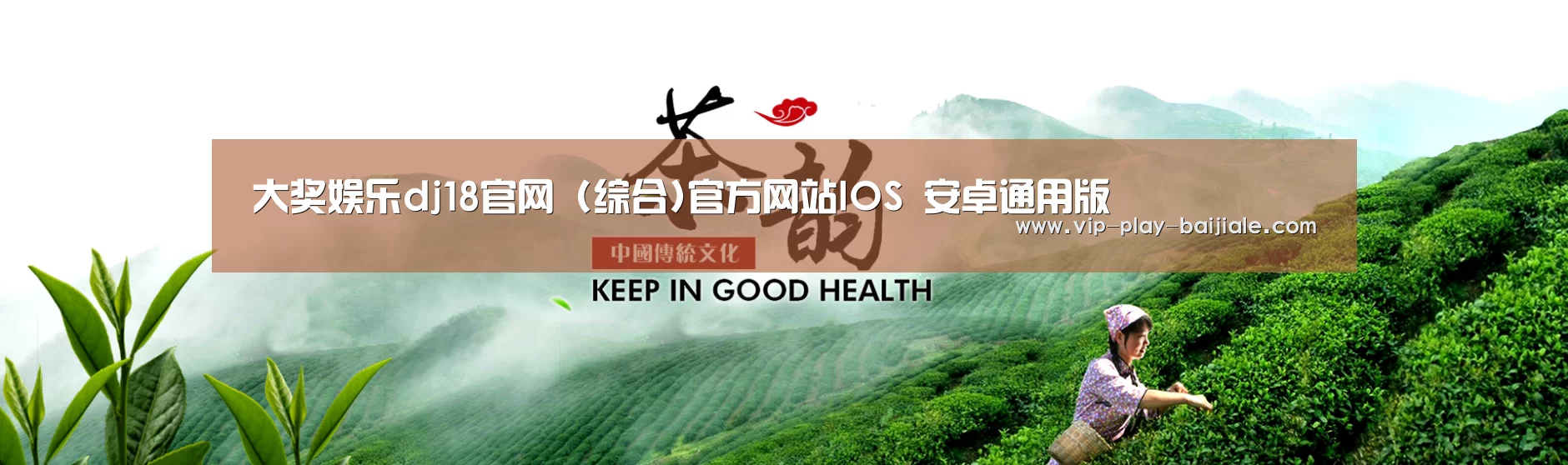 易优Cms-演示站